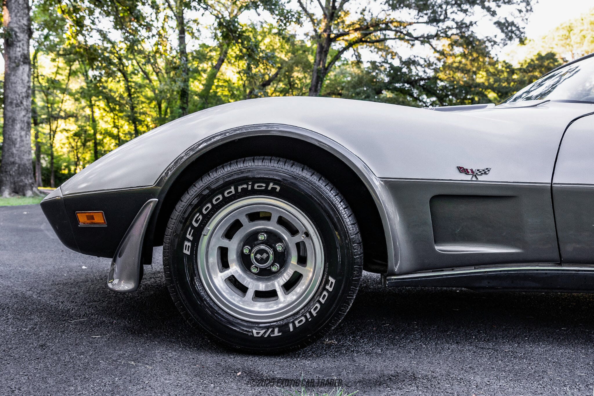 1978 Chevrolet Corvette 25th Anniversary Edition for Sale | Exotic